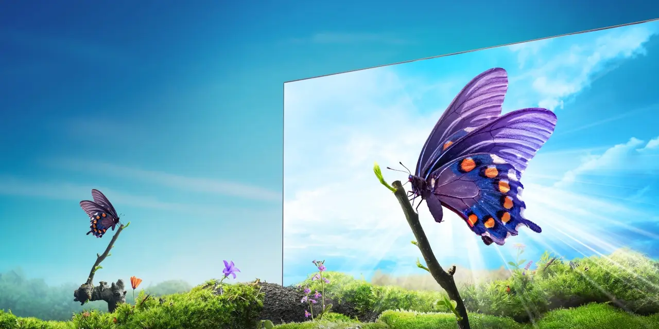 Vivid, sharp picture shown on a Hisense A6 4K screen