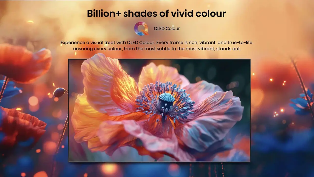 Hisense QLED in a poppy field, reproducing the flowers' vivid colour on screen